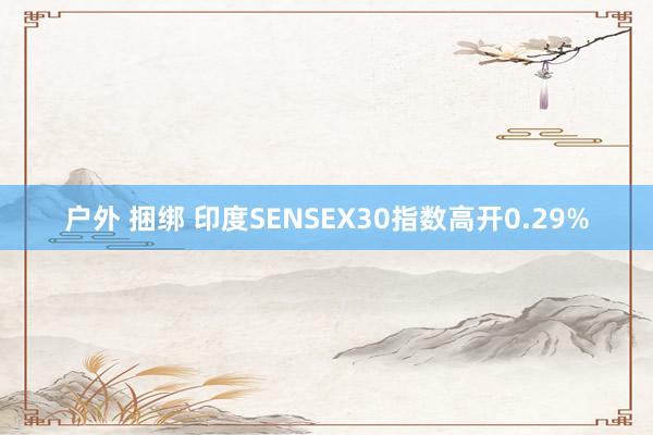 户外 捆绑 印度SENSEX30指数高开0.29%