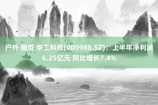 户外 捆绑 华工科技(000988.SZ)：上半年净利润6.25亿元 同比增长7.4%