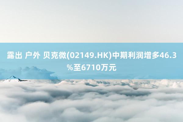 露出 户外 贝克微(02149.HK)中期利润增多46.3%至6710万元