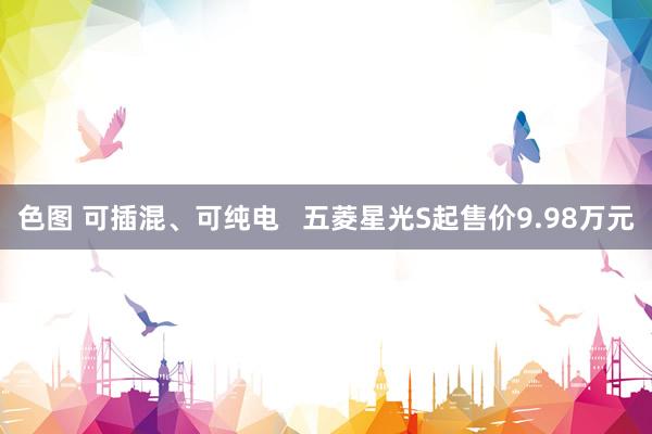 色图 可插混、可纯电   五菱星光S起售价9.98万元