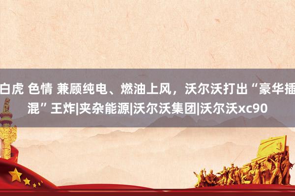 白虎 色情 兼顾纯电、燃油上风，沃尔沃打出“豪华插混”王炸|夹杂能源|沃尔沃集团|沃尔沃xc90