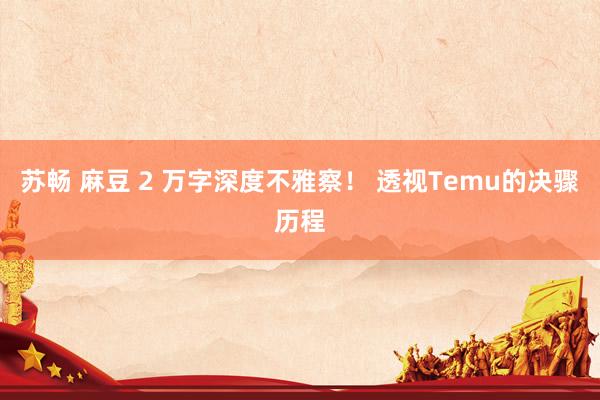 苏畅 麻豆 2 万字深度不雅察！ 透视Temu的决骤历程