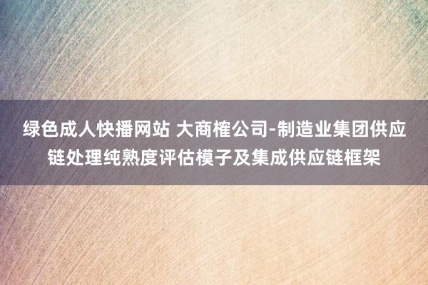 绿色成人快播网站 大商榷公司-制造业集团供应链处理纯熟度评估模子及集成供应链框架