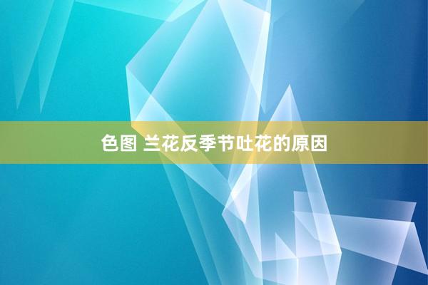 色图 兰花反季节吐花的原因