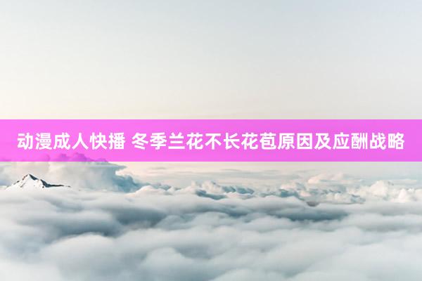 动漫成人快播 冬季兰花不长花苞原因及应酬战略