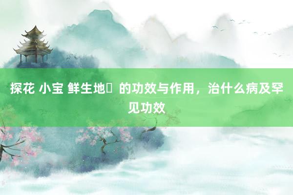 探花 小宝 鲜生地​的功效与作用，治什么病及罕见功效