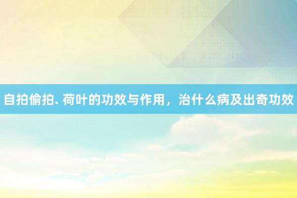 自拍偷拍. 荷叶的功效与作用，治什么病及出奇功效