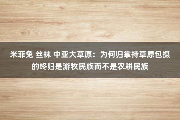 米菲兔 丝袜 中亚大草原：为何归掌持草原包摄的终归是游牧民族而不是农耕民族