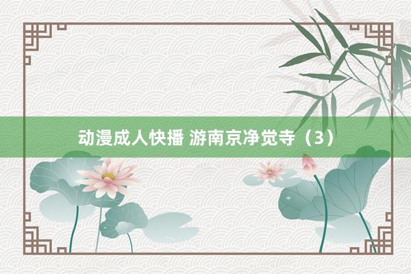 动漫成人快播 游南京净觉寺（3）